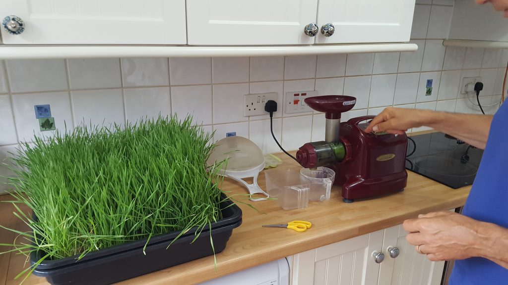 how to make wheatgrass juice with a single auger masticating juicer