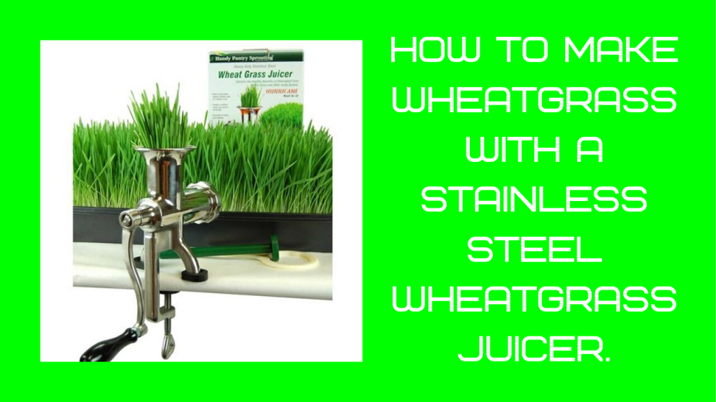 how to make wheatgrass juice,wheatgrass juicer review,best stainless steel wheatgrass juicer,how to use a stainless steel wheatgrass juicer,