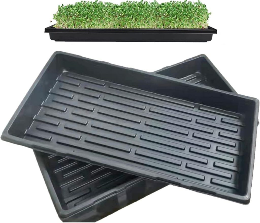 Wheatgrass grow trays .10 trays for growing wheatgrass at home.